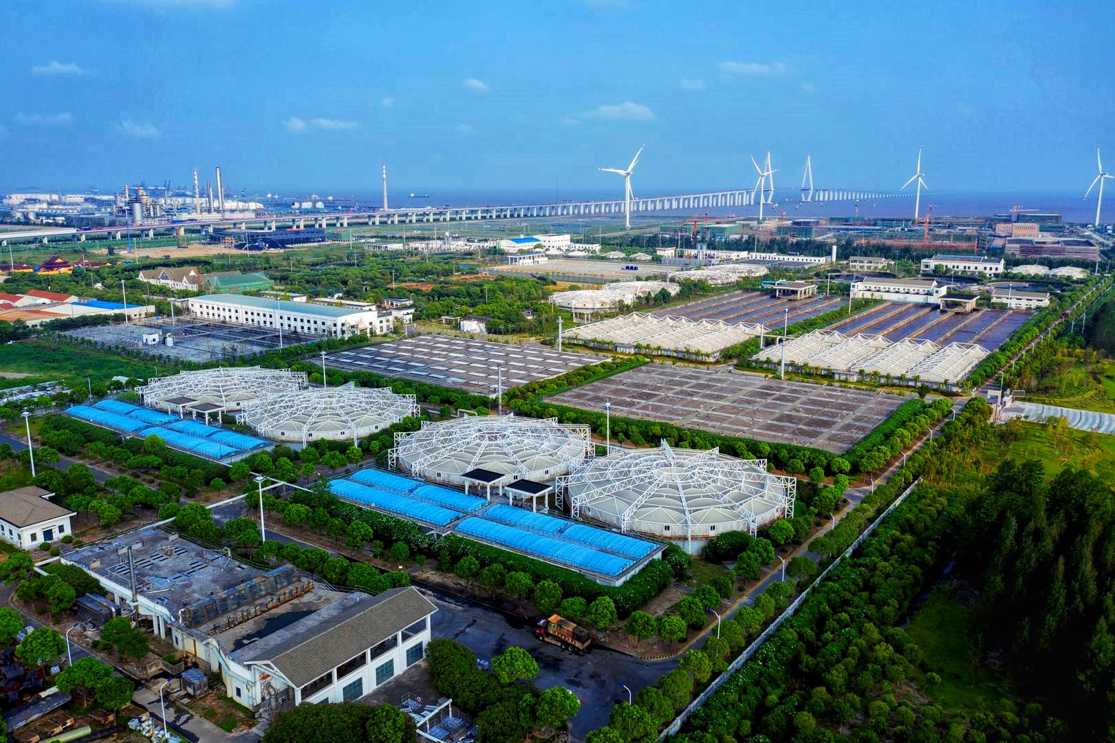 强壮的公次次弄得我高潮A片日本