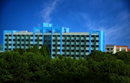 强壮的公次次弄得我高潮A片日本